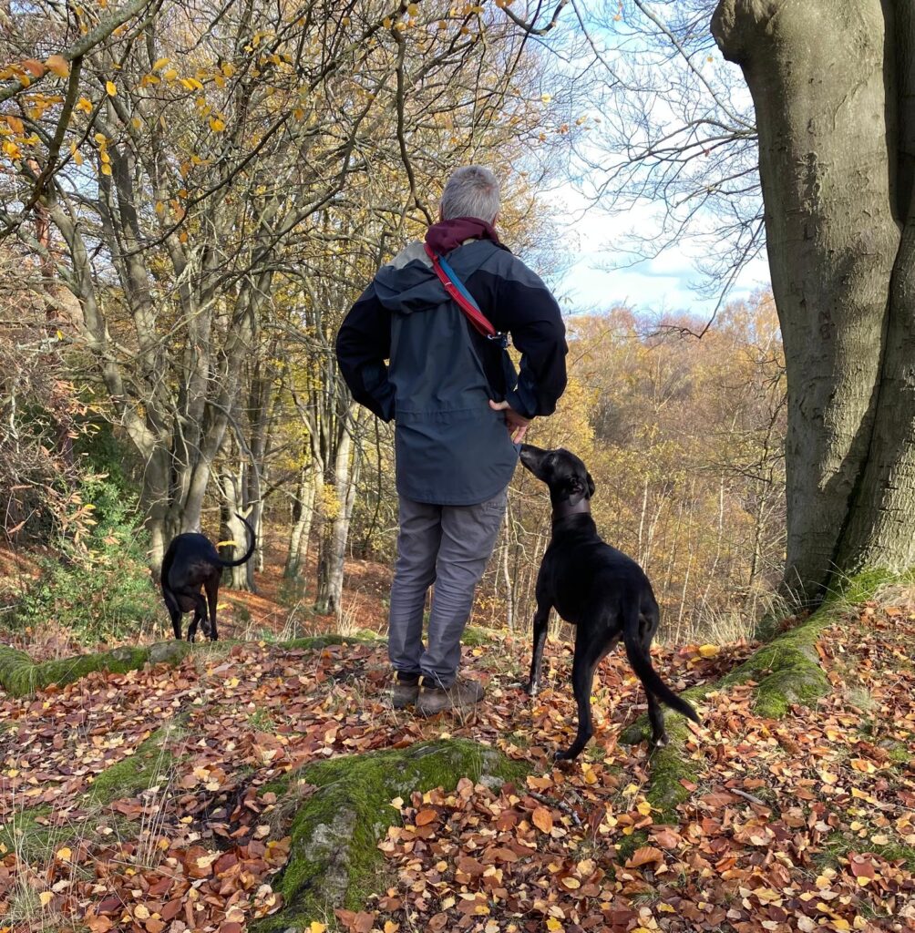 Man walking dog